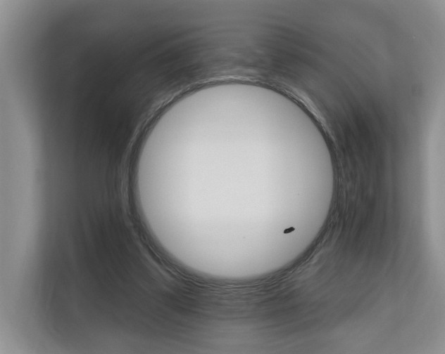 X0000110700299200906121041