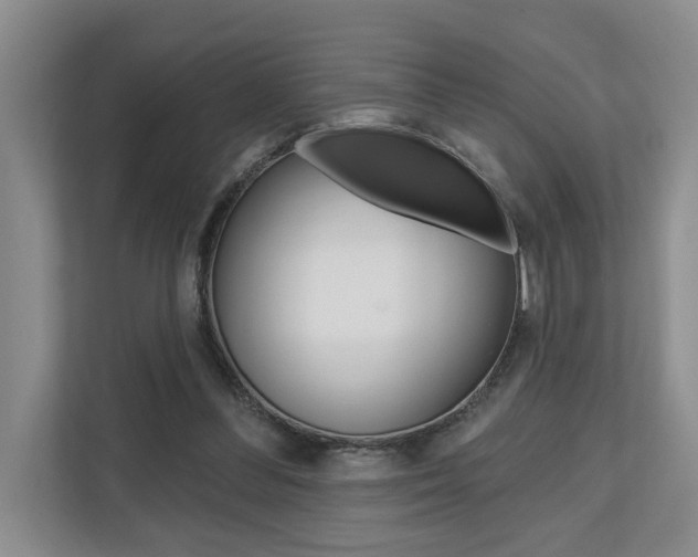 X0000110700300200906121041