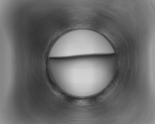 X0000110700303200906121041