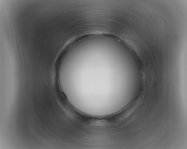 X0000110700304200906121041