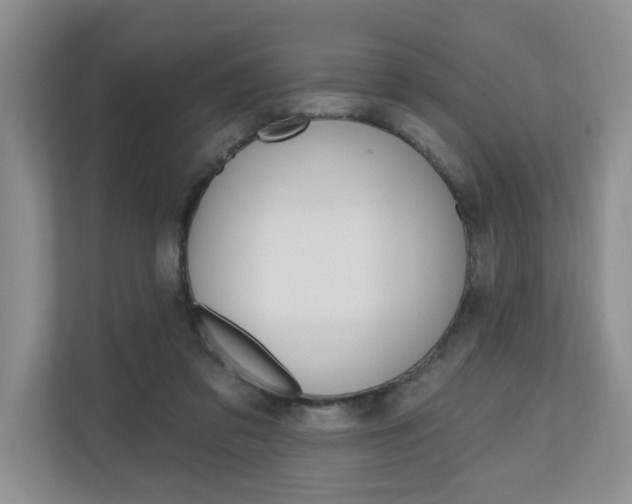 X0000110700309200906121041