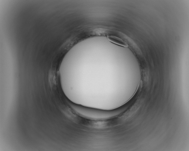 X0000110700313200906121041