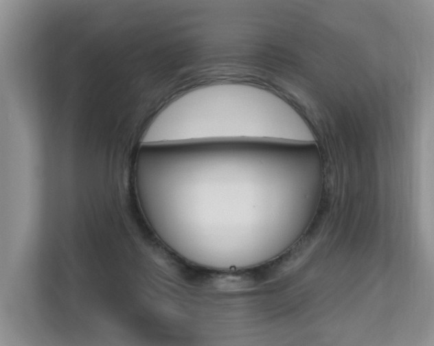 X0000110700315200906121041