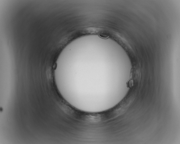 X0000110700317200906121041