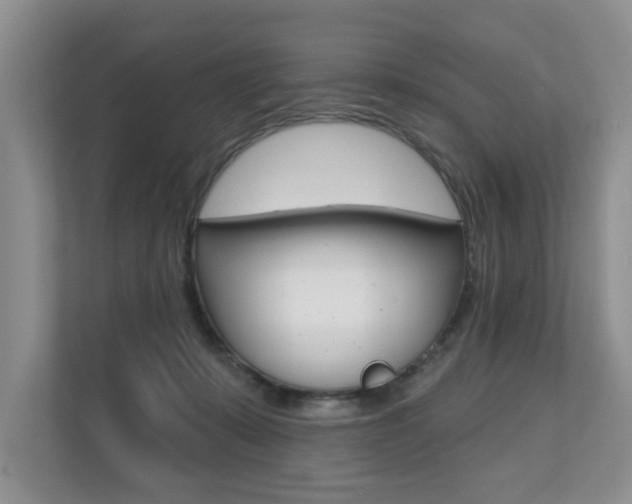 X0000110700319200906121041