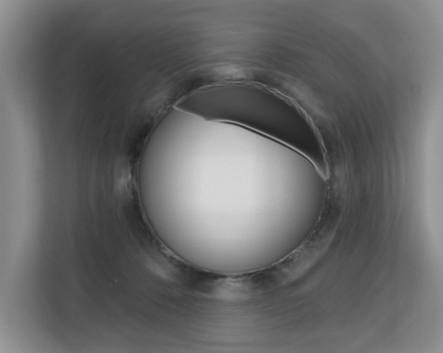 X0000110700320200906121041
