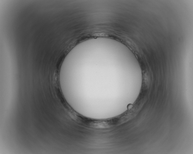 X0000110700322200906121041