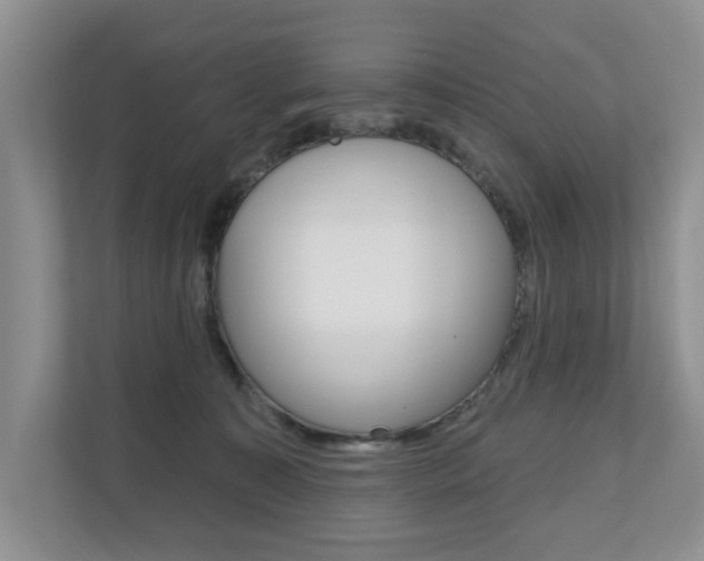 X0000110700323200906121041