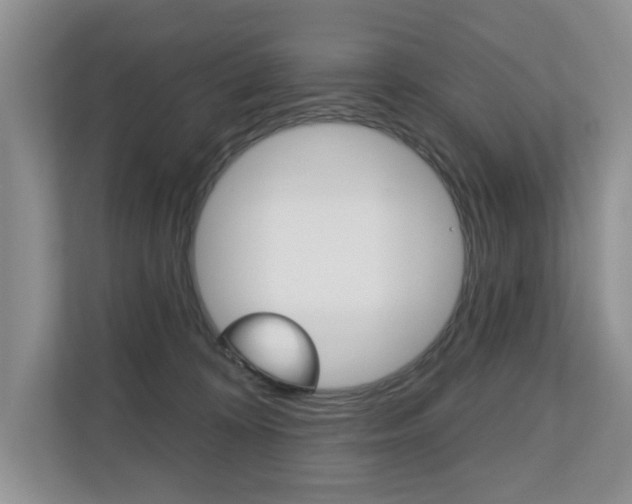 X0000110700324200906121041