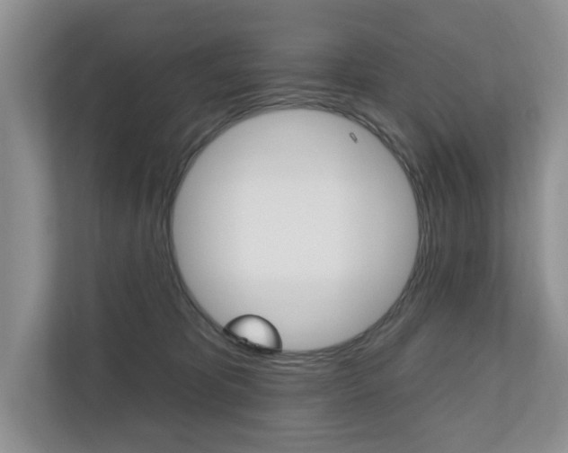 X0000110700325200906121041