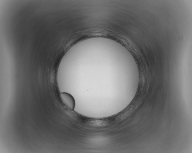 X0000110700326200906121041