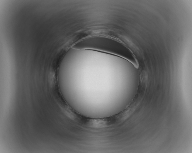 X0000110700327200906121041