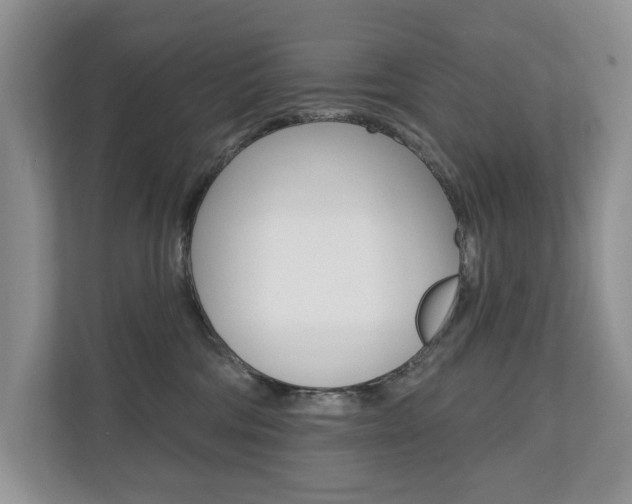 X0000110700330200906121041