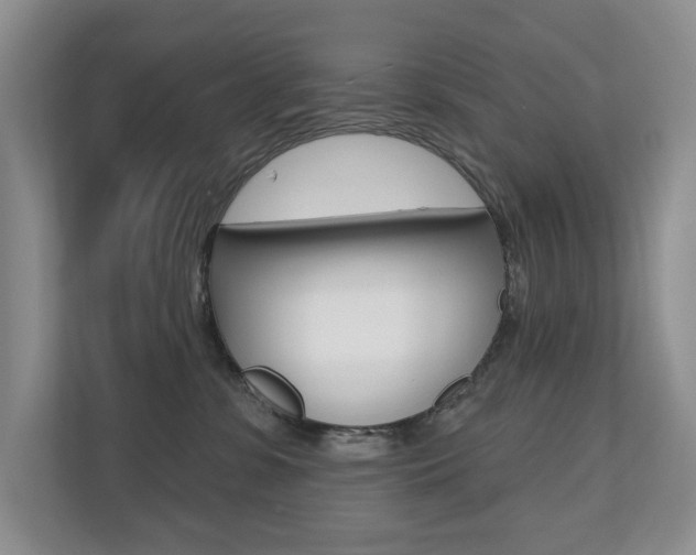 X0000110700331200906121041