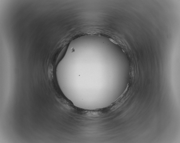 X0000110700332200906121041