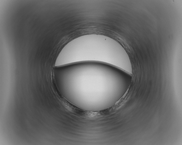 X0000110700333200906121041