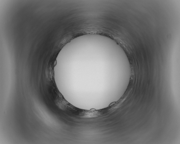 X0000110700334200906121041