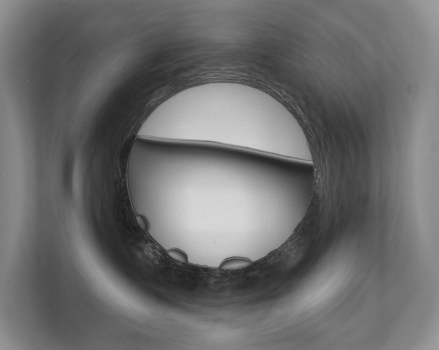X0000110700335200906121041
