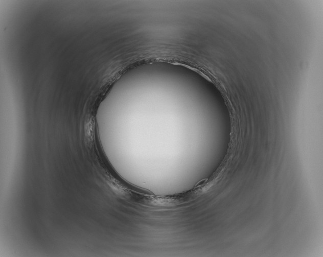 X0000110700336200906121041