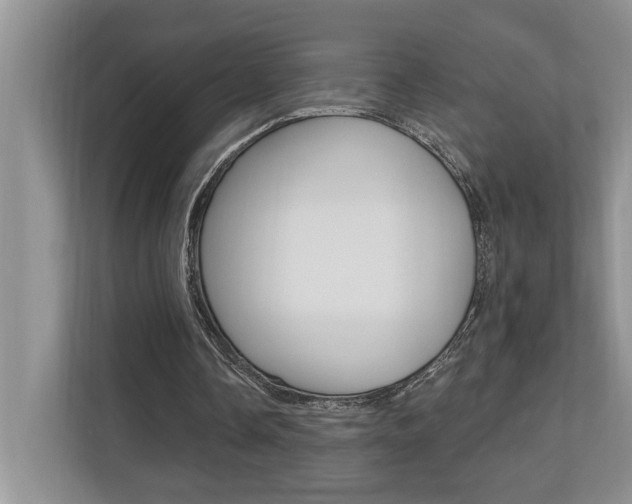 X0000110700338200906121040