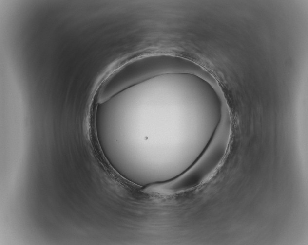 X0000110700340200906121040