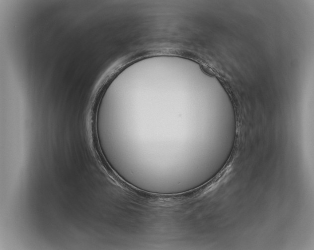 X0000110700341200906121040