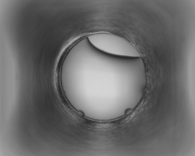 X0000110700342200906121040