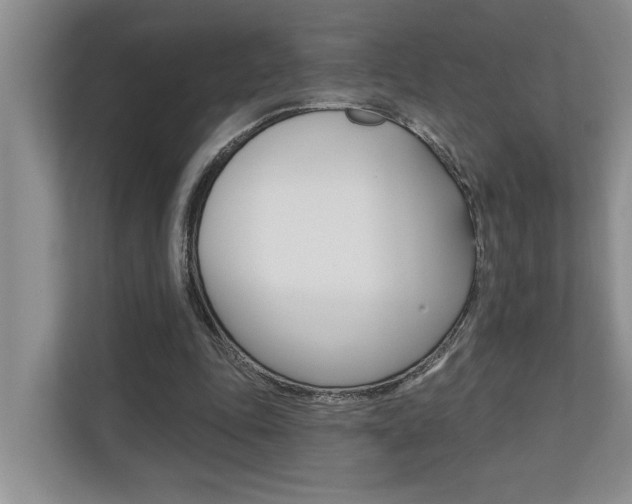X0000110700343200906121040