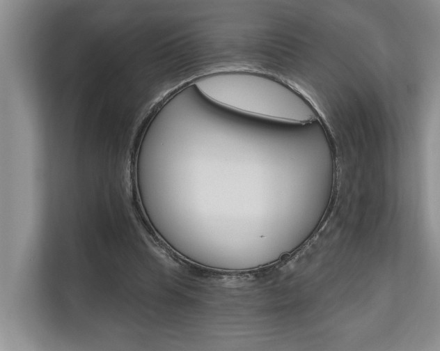 X0000110700345200906121040