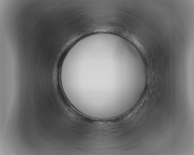 X0000110700346200906121040