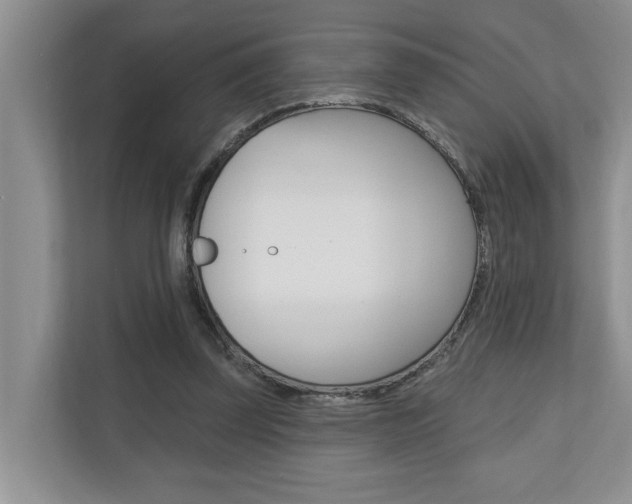 X0000110700347200906121040