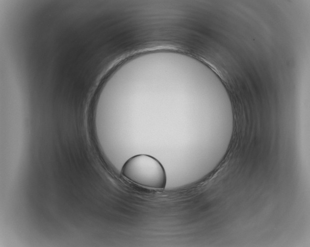 X0000110700350200906121040