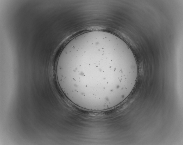 X0000110700351200906121040