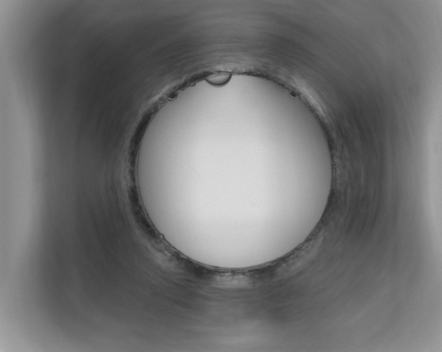 X0000110700354200906121040