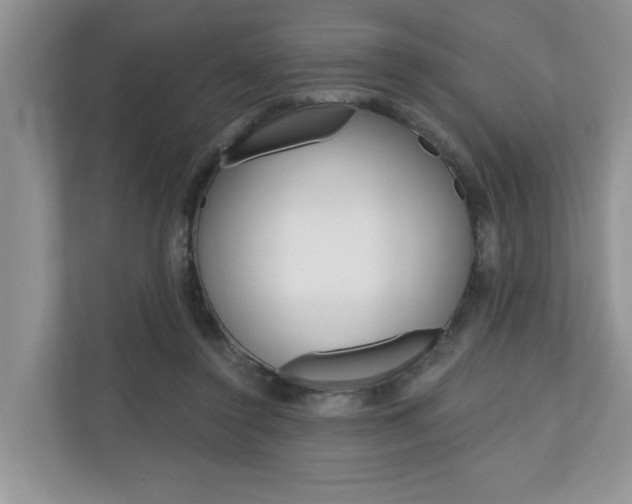 X0000110700356200906121040