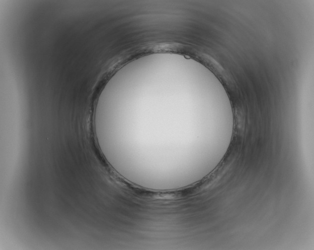 X0000110700357200906121040