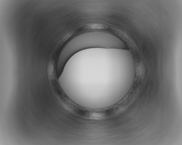 X0000110700360200906121040