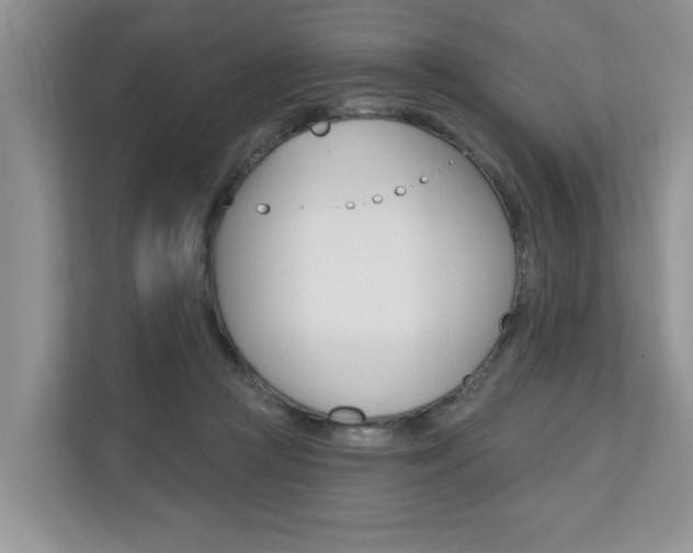 X0000110700361200906121040