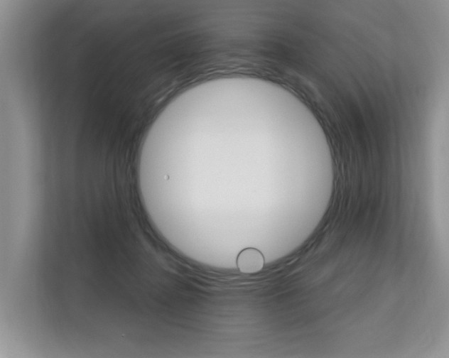 X0000110700364200906121040