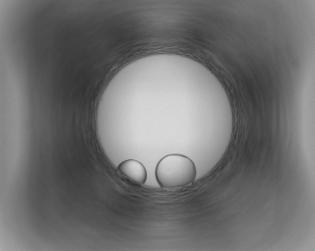 X0000110700368200906121040