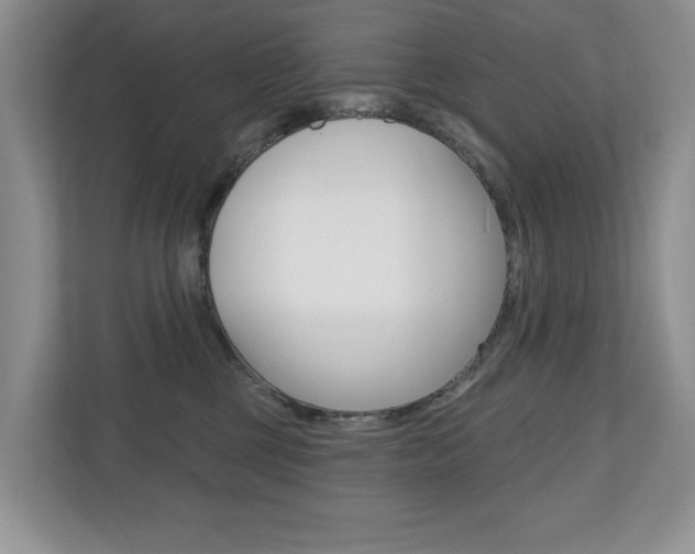 X0000110700377200906121041