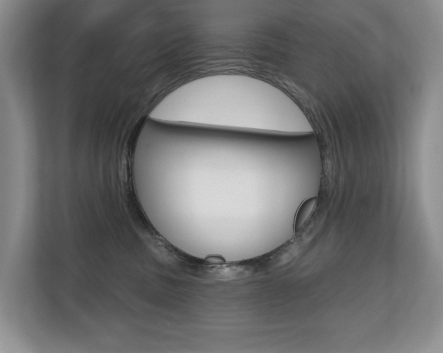 X0000110700379200906121041