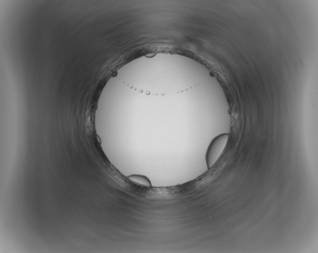 X0000110700381200906121041