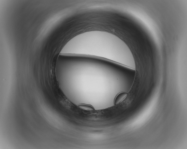X0000110700382200906121041