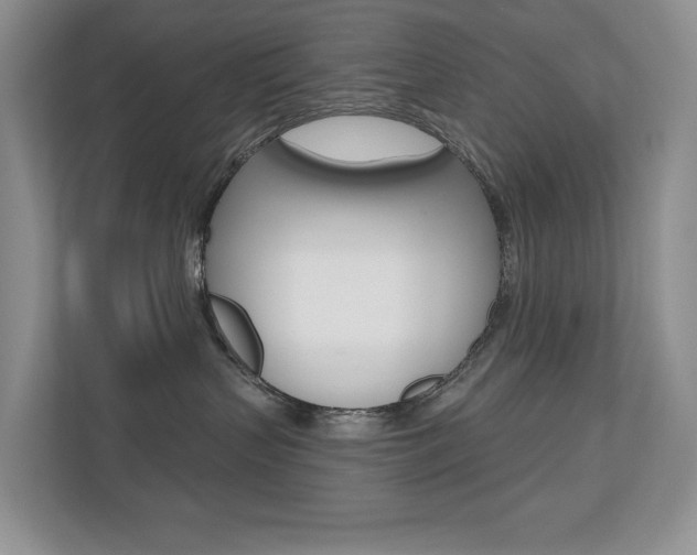 X0000110700383200906121041