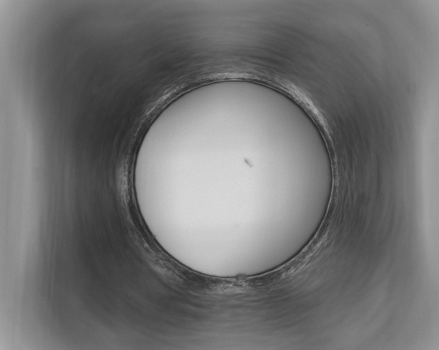 X0000110700386200906121040