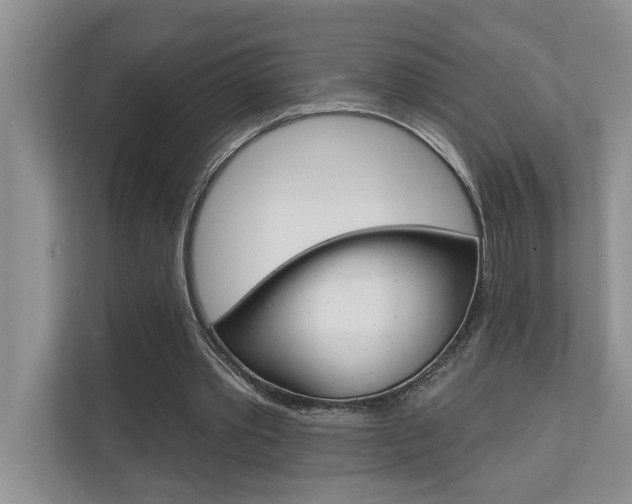 X0000110700389200906121040