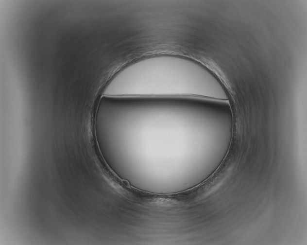 X0000110700393200906121040