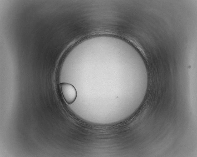 X0000110700395200906121040