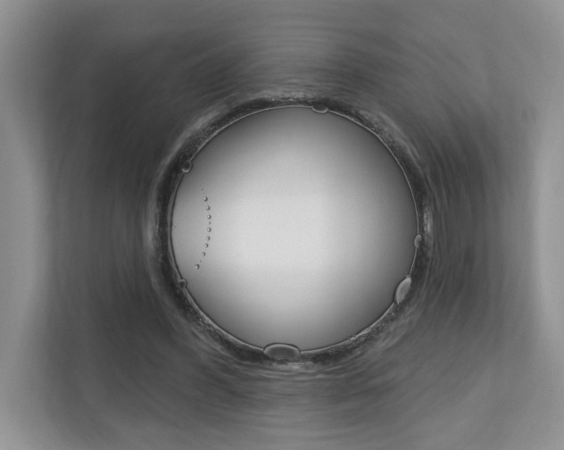 X0000110700396200906121040